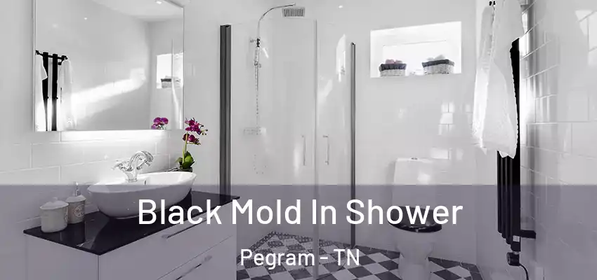  Black Mold In Shower Pegram - TN