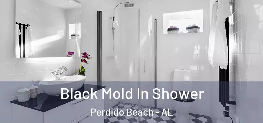 Black Mold In Shower Perdido Beach - AL