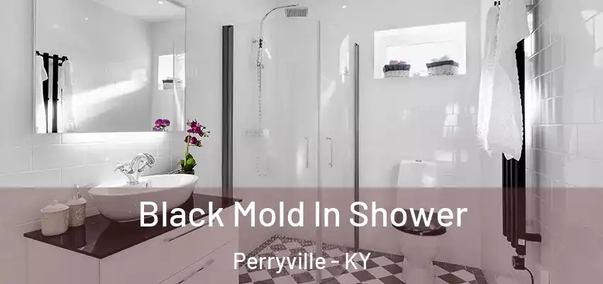 Black Mold In Shower Perryville - KY