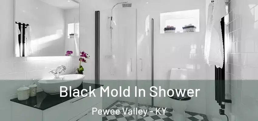  Black Mold In Shower Pewee Valley - KY