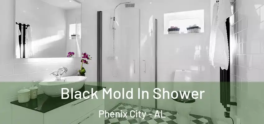 Black Mold In Shower Phenix City - AL