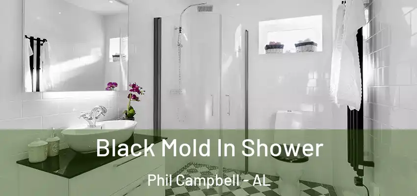  Black Mold In Shower Phil Campbell - AL