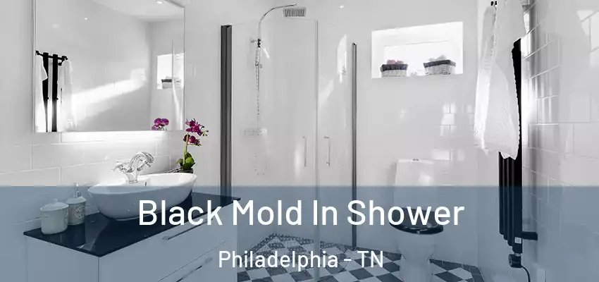 Black Mold In Shower Philadelphia - TN