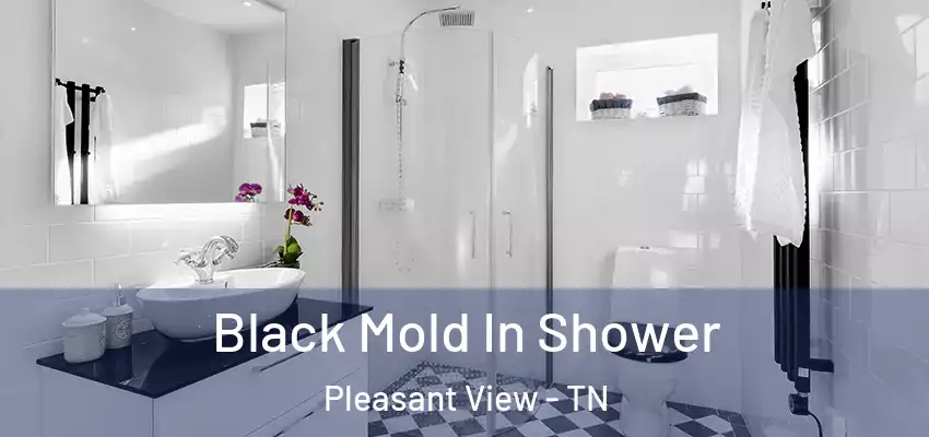 Black Mold In Shower Pleasant View - TN