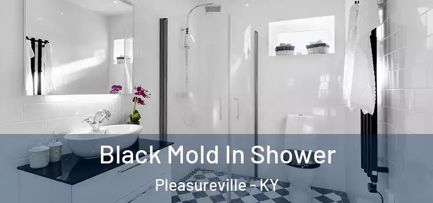  Black Mold In Shower Pleasureville - KY