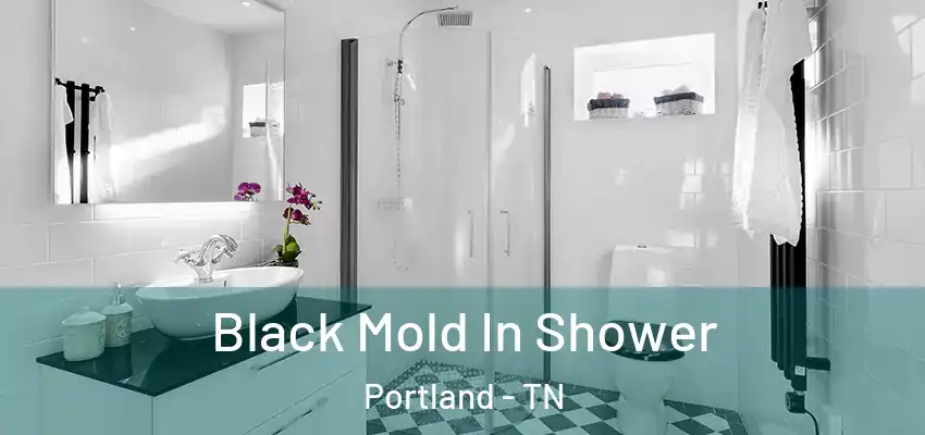  Black Mold In Shower Portland - TN