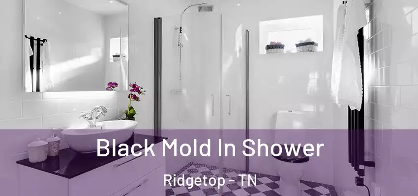  Black Mold In Shower Ridgetop - TN