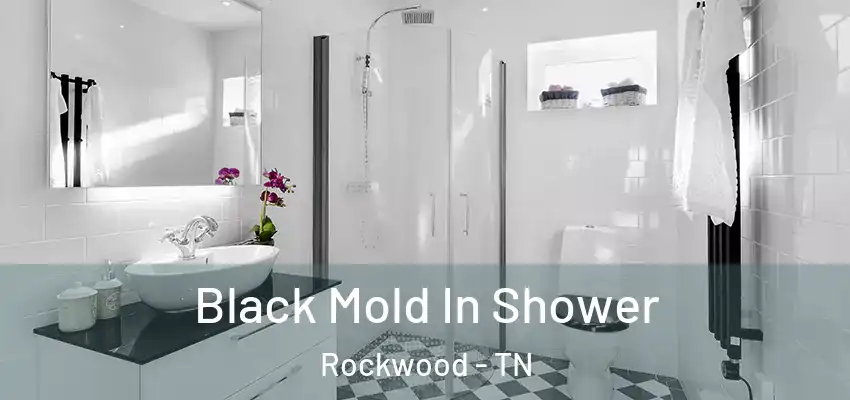  Black Mold In Shower Rockwood - TN