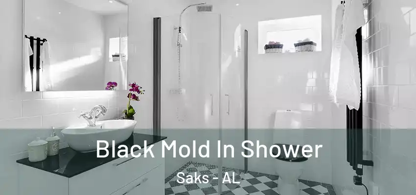 Black Mold In Shower Saks - AL
