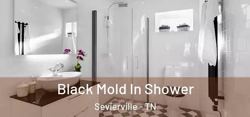 Black Mold In Shower Sevierville - TN