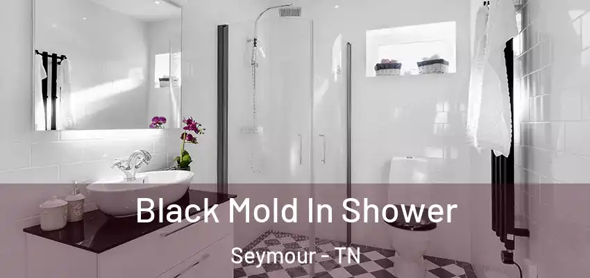  Black Mold In Shower Seymour - TN