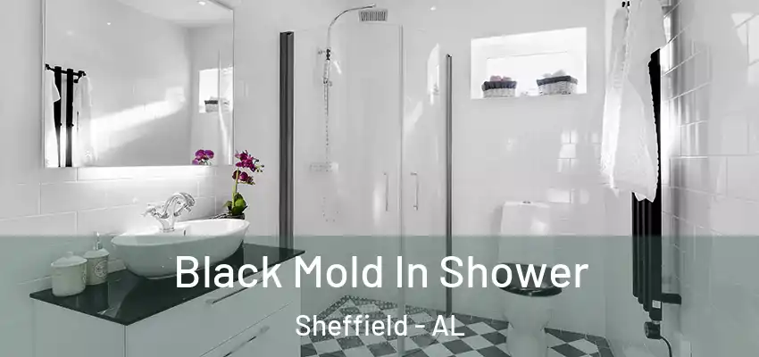 Black Mold In Shower Sheffield - AL