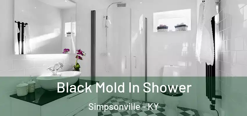  Black Mold In Shower Simpsonville - KY