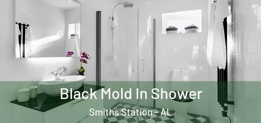  Black Mold In Shower Smiths Station - AL