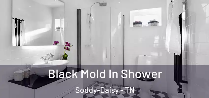  Black Mold In Shower Soddy-Daisy - TN