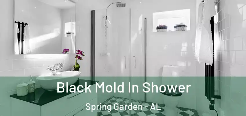  Black Mold In Shower Spring Garden - AL
