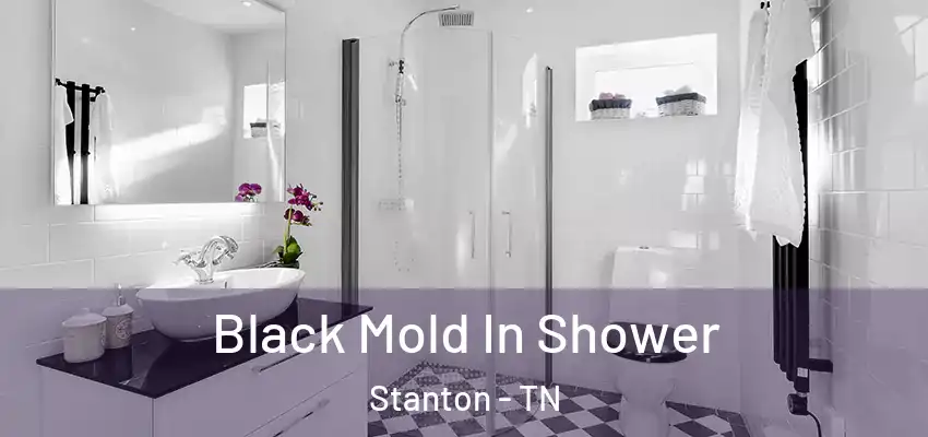  Black Mold In Shower Stanton - TN