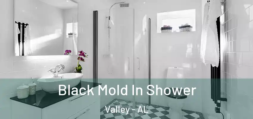  Black Mold In Shower Valley - AL