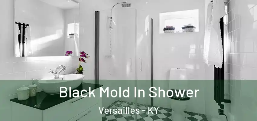  Black Mold In Shower Versailles - KY