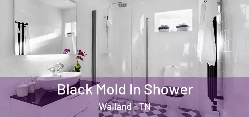  Black Mold In Shower Walland - TN