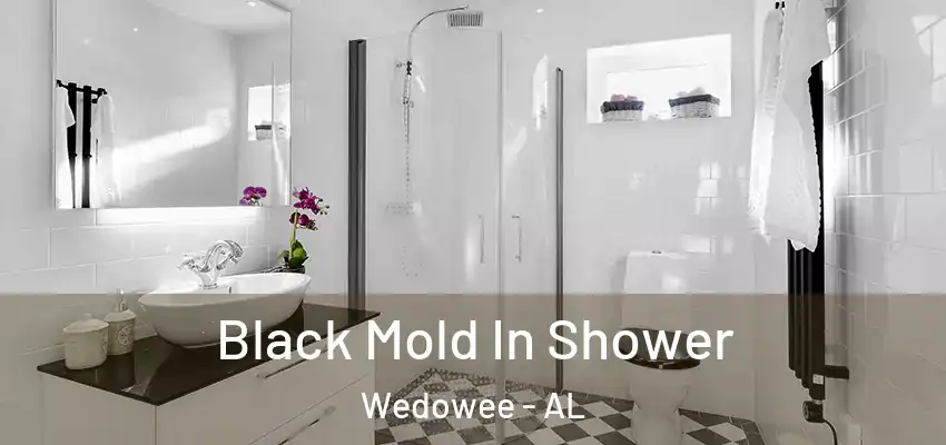 Black Mold In Shower Wedowee - AL