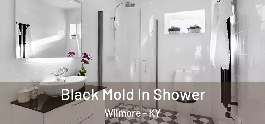 Black Mold In Shower Wilmore - KY