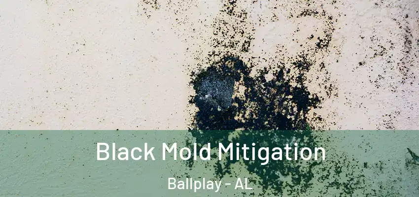  Black Mold Mitigation Ballplay - AL