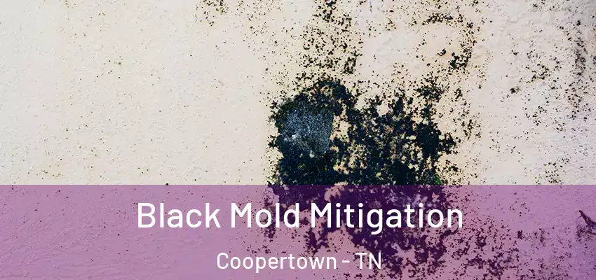  Black Mold Mitigation Coopertown - TN