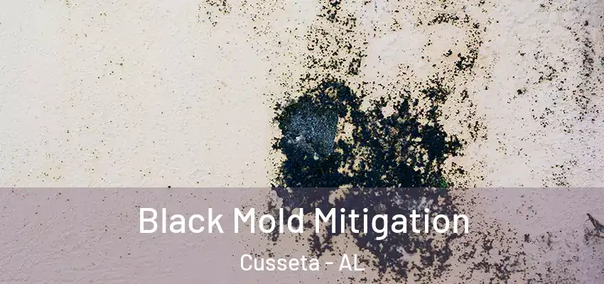 Black Mold Mitigation Cusseta - AL