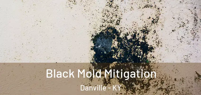 Black Mold Mitigation Danville - KY