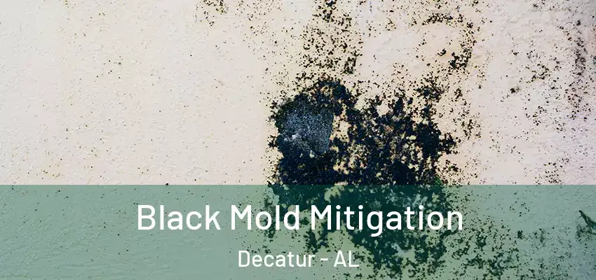  Black Mold Mitigation Decatur - AL