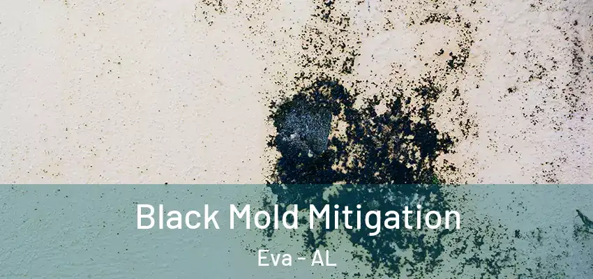 Black Mold Mitigation Eva - AL