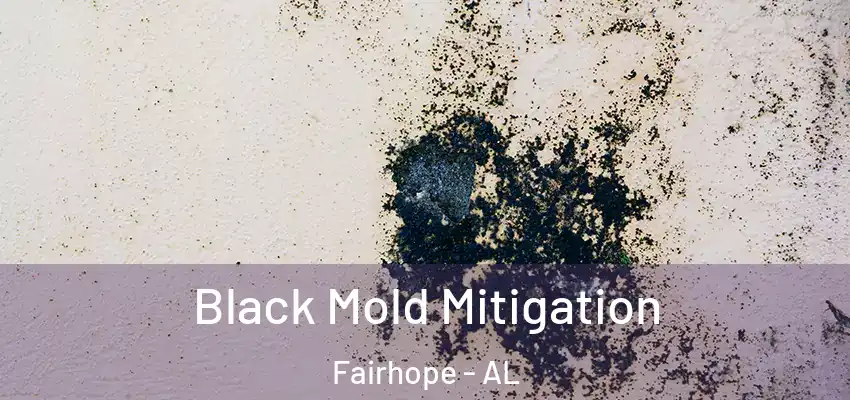 Black Mold Mitigation Fairhope - AL