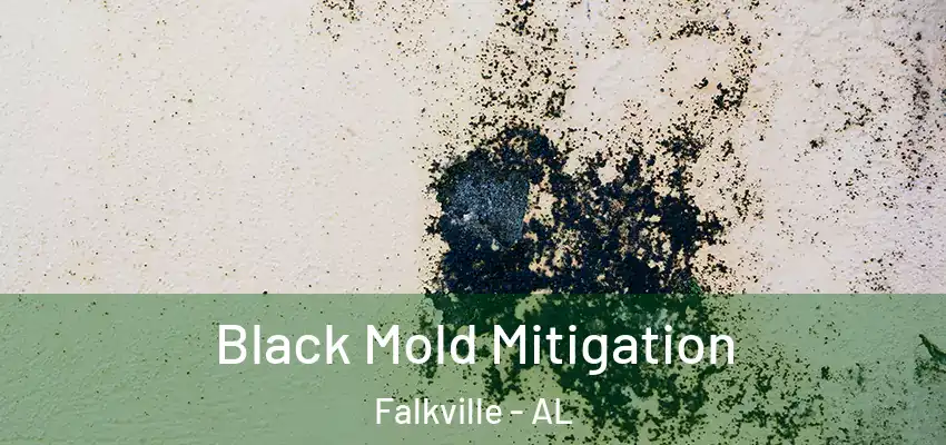 Black Mold Mitigation Falkville - AL