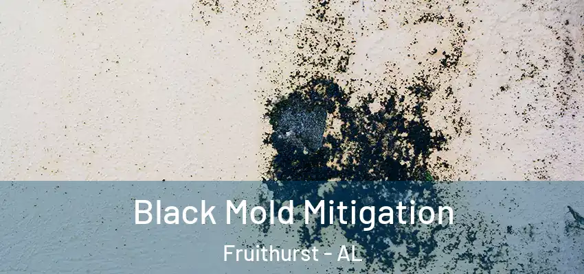  Black Mold Mitigation Fruithurst - AL
