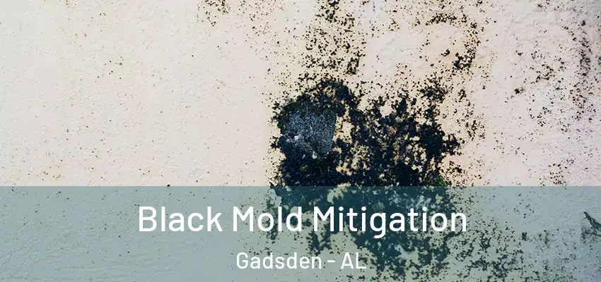  Black Mold Mitigation Gadsden - AL
