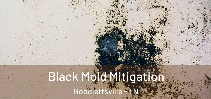  Black Mold Mitigation Goodlettsville - TN