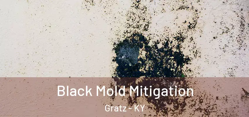 Black Mold Mitigation Gratz - KY