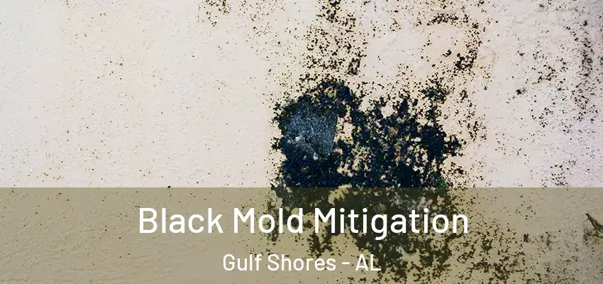 Black Mold Mitigation Gulf Shores - AL