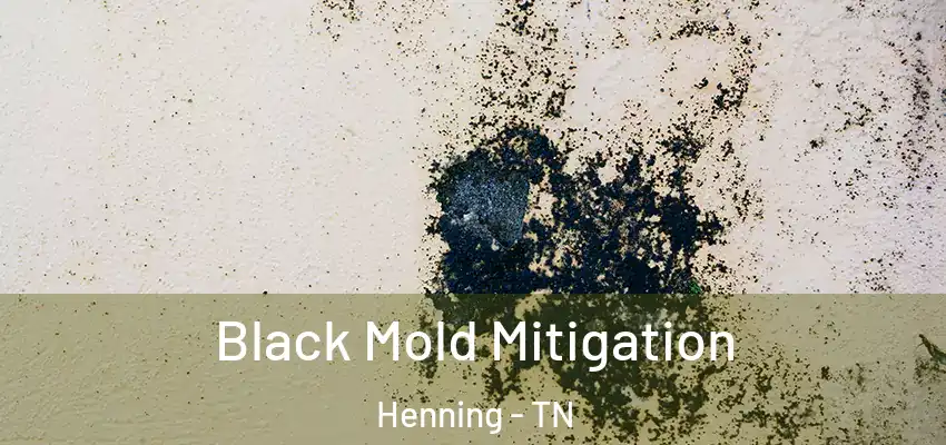  Black Mold Mitigation Henning - TN