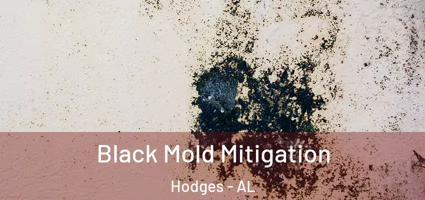  Black Mold Mitigation Hodges - AL