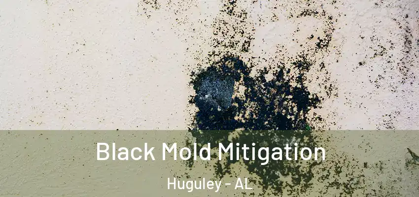  Black Mold Mitigation Huguley - AL