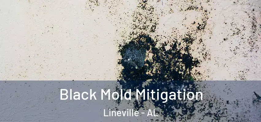 Black Mold Mitigation Lineville - AL