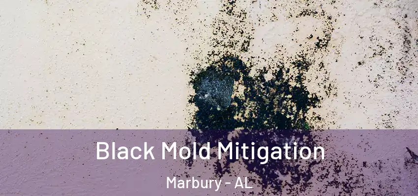  Black Mold Mitigation Marbury - AL