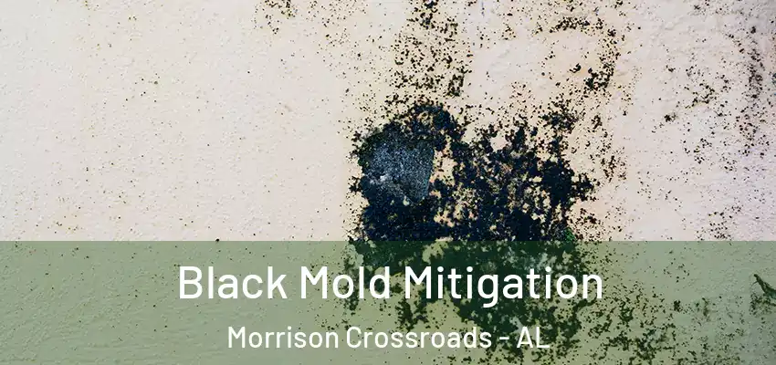  Black Mold Mitigation Morrison Crossroads - AL
