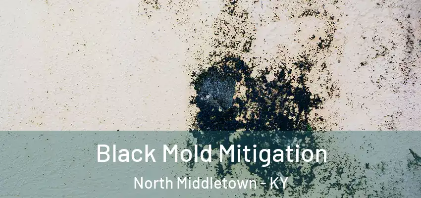  Black Mold Mitigation North Middletown - KY