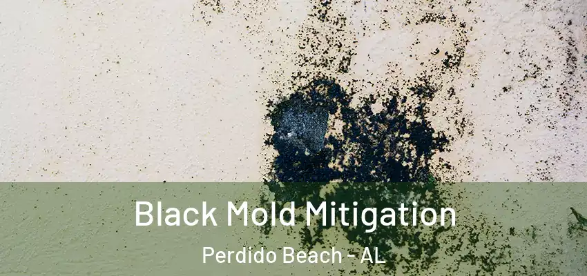 Black Mold Mitigation Perdido Beach - AL