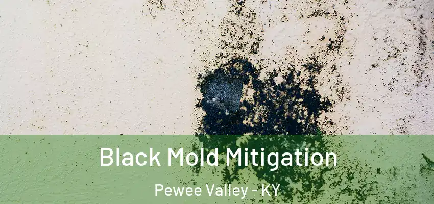  Black Mold Mitigation Pewee Valley - KY