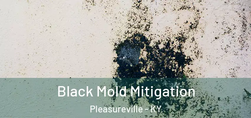  Black Mold Mitigation Pleasureville - KY