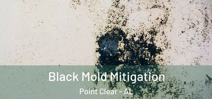  Black Mold Mitigation Point Clear - AL
